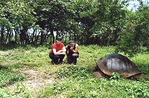 Riesenschildkröten zum Anfassen nah